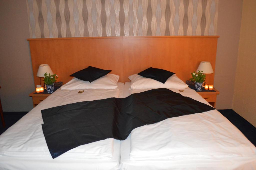 Hotel Royal 하나우암마인 객실 사진